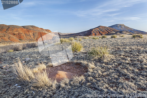 Image of ant nest sand cone