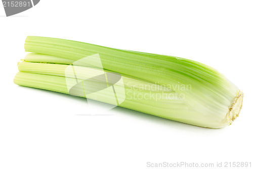 Image of Bunch of celery