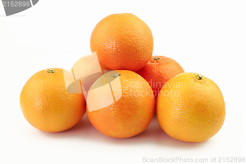 Image of Group of mandarins