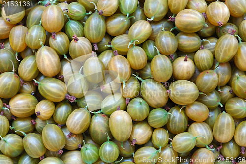 Image of Gooseberry