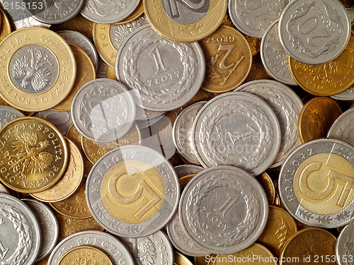 Image of Polish Coins