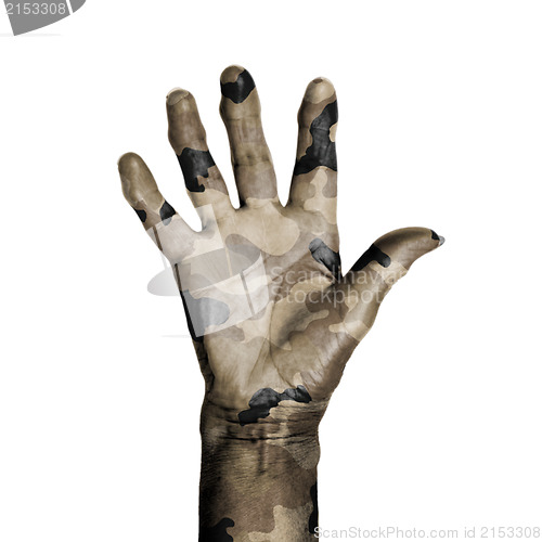 Image of Camouflaged old hand