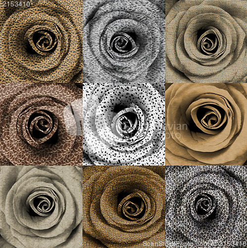 Image of Compilation of roses with animal skin print