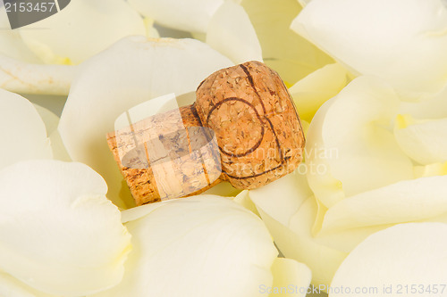 Image of Cork from champagne isolated