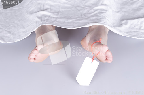 Image of Dead body with toe tag