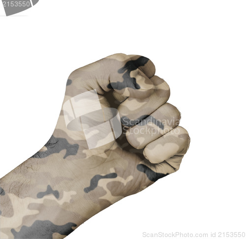 Image of Camouflaged fist