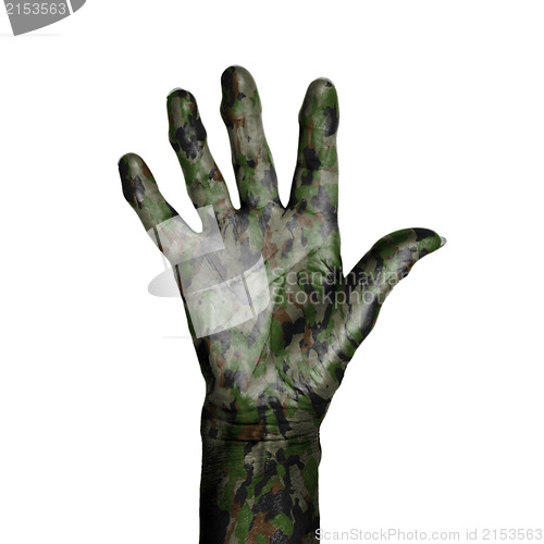 Image of Camouflaged old hand