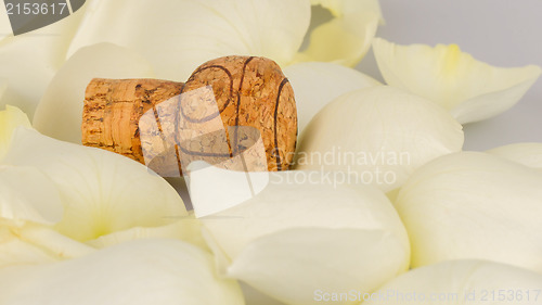 Image of Cork from champagne isolated