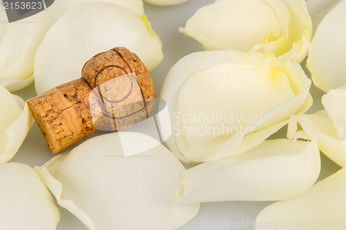 Image of Cork from champagne isolated