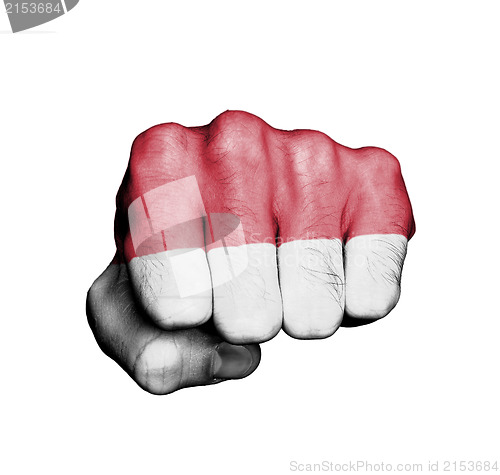 Image of Front view of punching fist