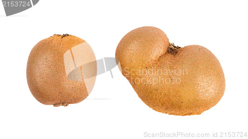 Image of Fresh kiwis with funny deformations