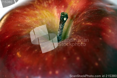 Image of An Apple