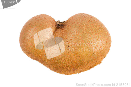 Image of Fresh kiwis with funny deformations