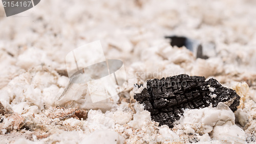 Image of Piece of black coal