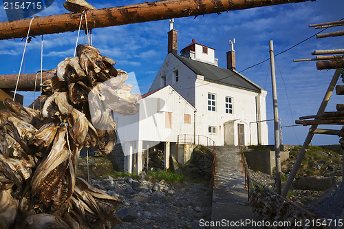Image of Stockfish drying