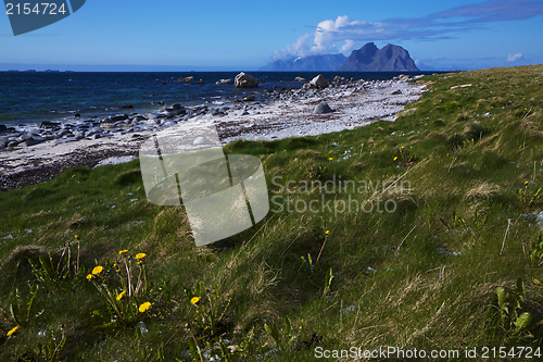 Image of Beach on Lofoten islands