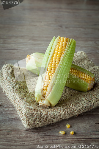 Image of Fresh corn