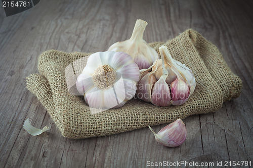 Image of Garlic