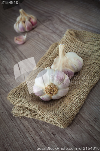 Image of Garlic