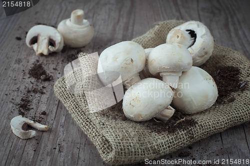 Image of Mushrooms