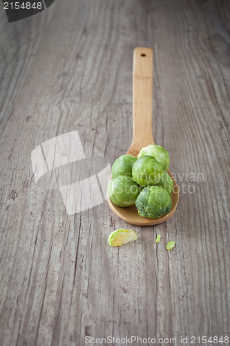 Image of bruxelles sprouts