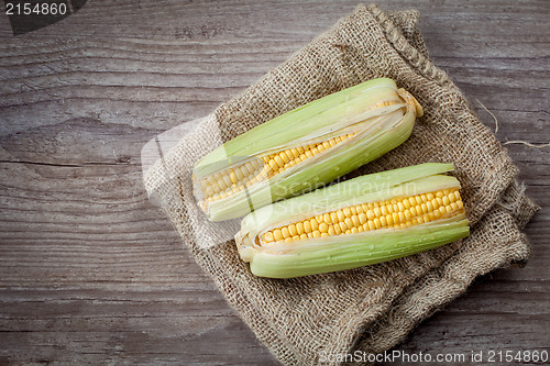 Image of Fresh corn