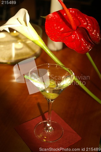 Image of Martini Cocktail