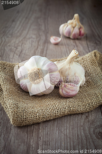 Image of Garlic