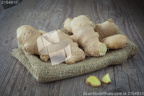 Image of Ginger