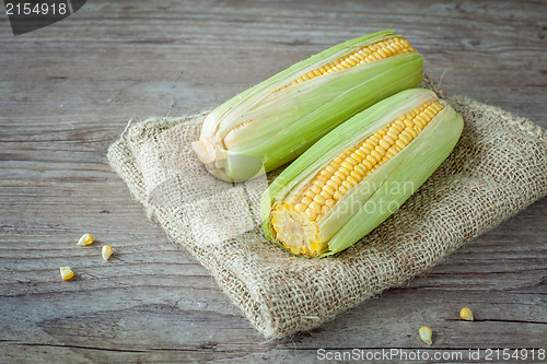 Image of Fresh corn