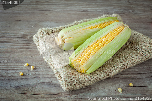 Image of Fresh corn