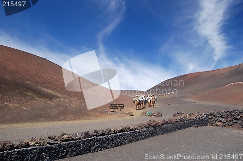 Image of Camel Trek