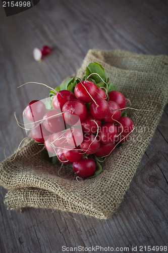 Image of Radishes