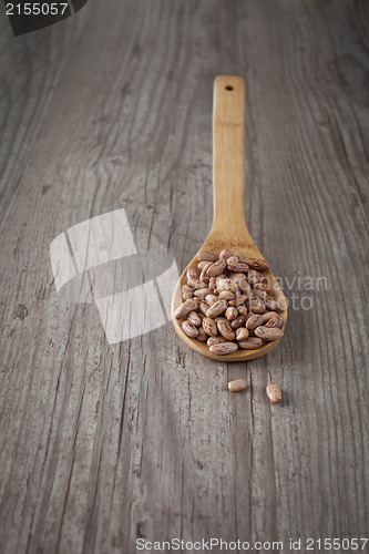 Image of Beans