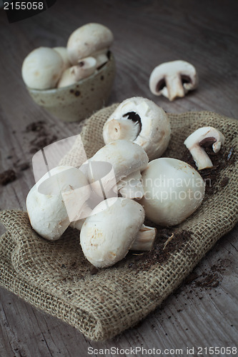 Image of Mushrooms
