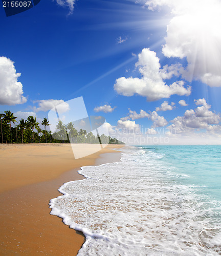 Image of beach landscape