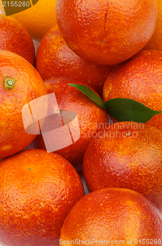 Image of Blood Oranges Background