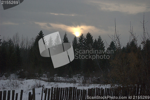 Image of Winter Scene