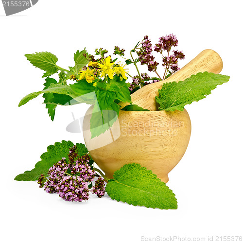 Image of Herbs in a mortar and on the table