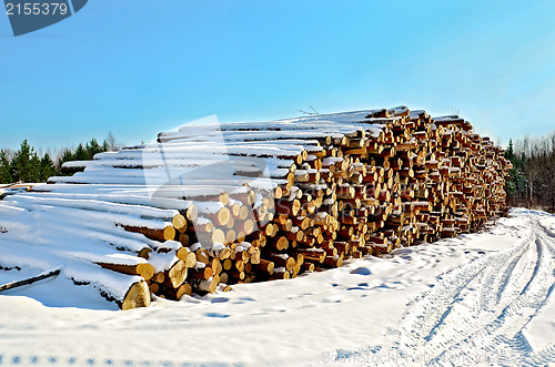 Image of Timber in the snow on a sunny day