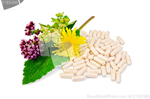 Image of Capsule beige with herbs