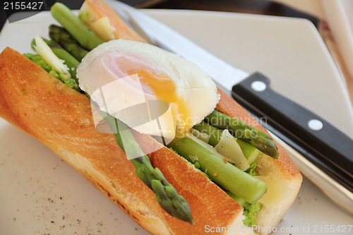 Image of Poached Egg With Asparagus