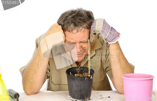 Image of Disappointed Gardener