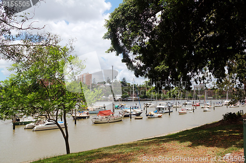 Image of Brisbane Botanic Gardens