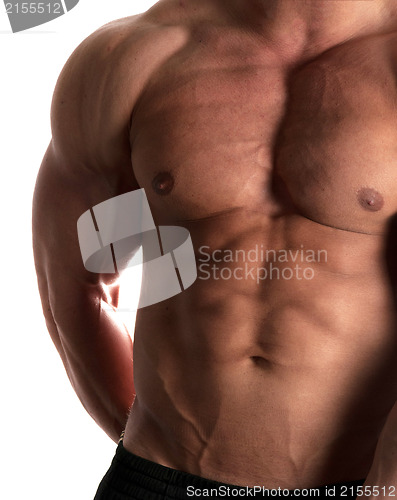 Image of bodybuilder