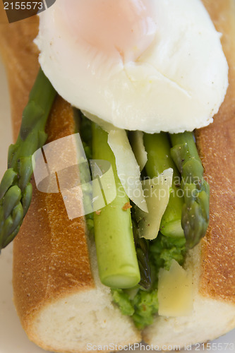 Image of Poached Egg And Asparagus