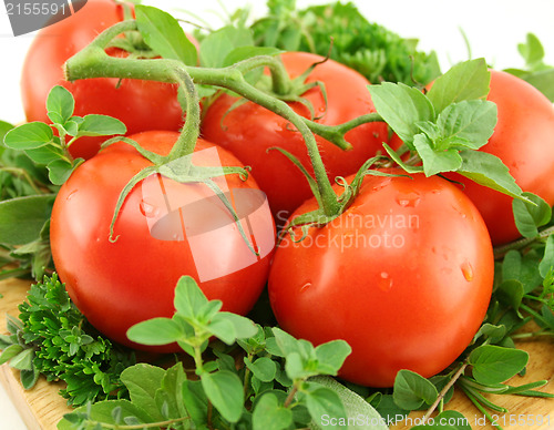 Image of Tomatoes On A Bed Of Herbs