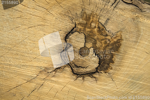 Image of Old wood texture