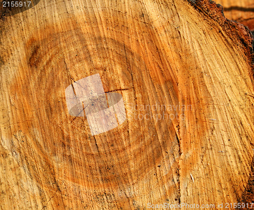 Image of Wood texture