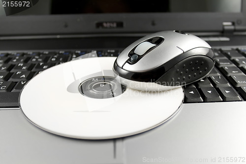 Image of Mouse with white CD on a laptop keyboard